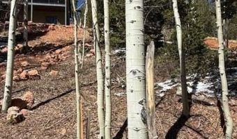 590 W Kokopelli, Brian Head, UT 84719