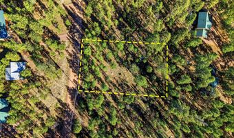 20 Co Rd 2067, Alpine, AZ 85920