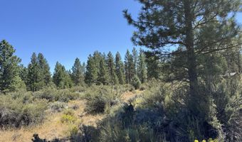 Bufflehead Drive 18, Bonanza, OR 97623