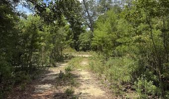 248 Ball Park Rd, Alford, FL 32420