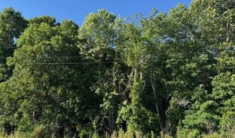County Road 7550, Baldwyn, MS 38824