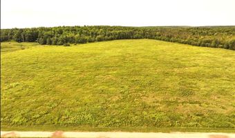 ON SURING LN unit 31 Acres 31 Acres, Argonne, WI 54511
