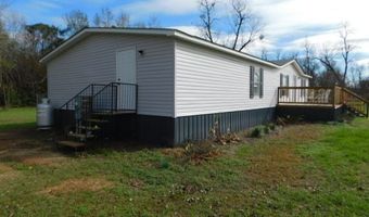 10302 Stage Coach Rd, Baconton, GA 31716