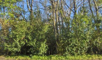 Georgia Avenue, Barnwell, SC 29812