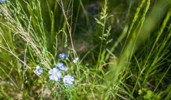 643 Saddlehorn Trl, Bigfork, MT 59911