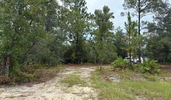4539 NW Miller/White LN Rd, Altha, FL 32421