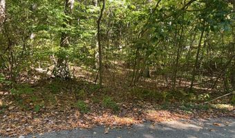 VL Lake Dr lot 174/175, Allegan, MI 49010