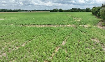 290 CR, Asbury, MO 64832