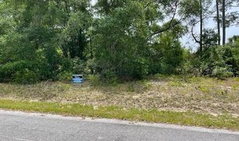 SE 59 STREET, Ocklawaha, FL 32179