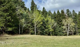15098 CR 240, Bayfield, CO 81122