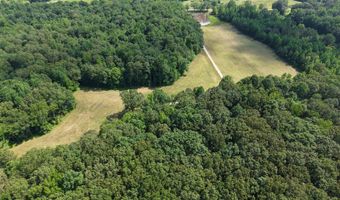 0000 Mifflin Rd, Beech Bluff, TN 38301