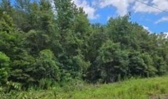 Tbd Bay St, Beech Island, SC 29842