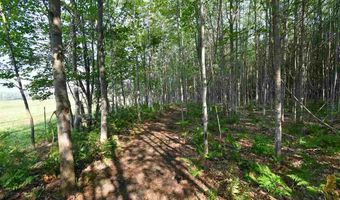 9537 LAKEVIEW, Alanson, MI 49706