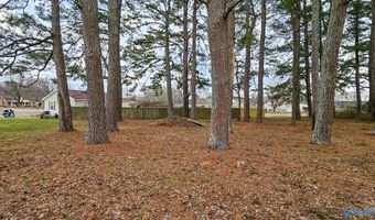 18222 McMunn Ln, Athens, AL 35614