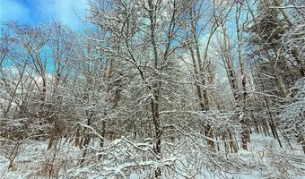 00 Fawn Lake Rd, Addison, NY 14801