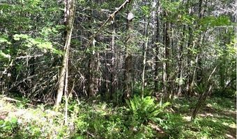 Nowakowski Rd, Banks, OR 97106