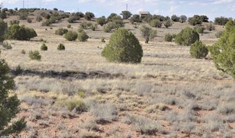 10 N9228, Concho, AZ 85924