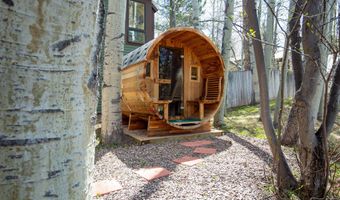 925 W North St, Aspen, CO 81611