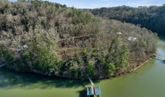 597 COUNTY ROAD 4028, Arley, AL 35541