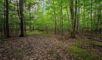County Road 2, Addison, NY 14801