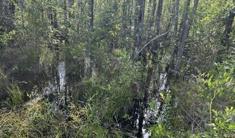 187 Ac Old River Rd, Baker, FL 32531