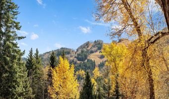 602 W Hallam St, Aspen, CO 81611