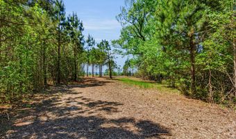 Burton Farm Road, Arapahoe, NC 28510
