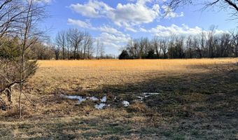 0001 CR-290, Asbury, MO 64832