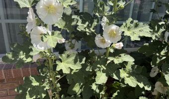 1110 Ranchero Rd, Bosque Farms, NM 87068