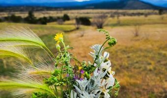 Hart Ranch Dr lot 36, Beulah, CO 81023