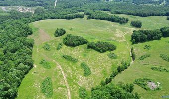 120 Carnes Chapel Rd, Attalla, AL 35954