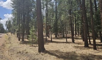 15 County Road 2065, Alpine, AZ 85920