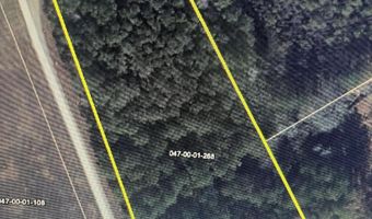 Curly Lane, Bennettsville, SC 29512