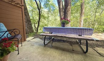 1214 Vine St 1214, Aspen, CO 81611