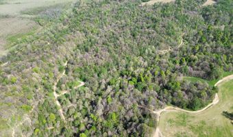 378 County Road 1219, Bardwell, KY 42023