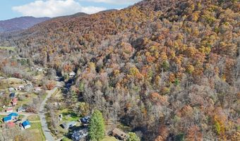 480 Paint Fork Rd, Barnardsville, NC 28709