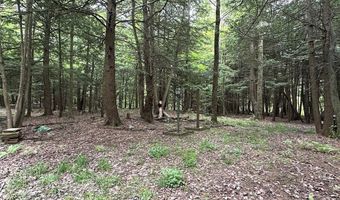 Cr-15a, Alden, NY 14709
