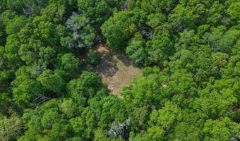 23826 Opine Rd, Andalusia, AL 36421