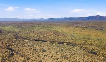 308-22 451 Palm Dr, Chloride, AZ 86431