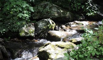 103 Chucks Ln, Bakersville, NC 28705