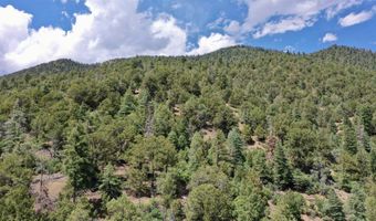 End of El Salto Road, Arroyo Seco, NM 87514