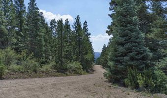 9 Buckskin Rd, Angel Fire, NM 87710