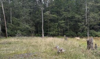 Holiday Drive lot A904, Albrightsville, PA 18210