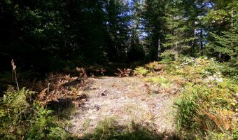 V/L 30AC Lake Winyah Road, Alpena, MI 49707