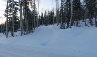 Tushar Mountain Estates Lot # 9, Beaver, UT 84713