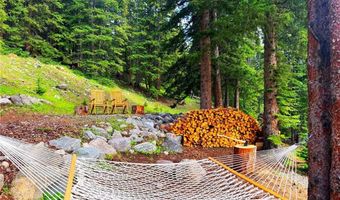 926 Nuthatch Dr, Alma, CO 80420