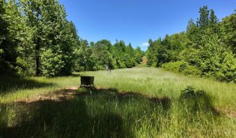 County Road 38, Autaugaville, AL 36003