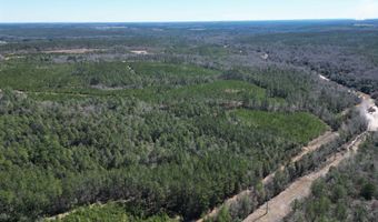 02 Robinsonville Rd, Atmore, AL 36502