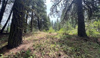 Tbd Hilltop Road 43 & 44, Cascade, ID 83611