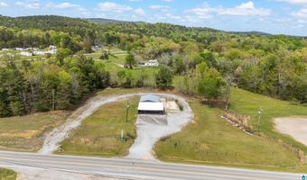 38178 US HWY 231, Ashville, AL 35953